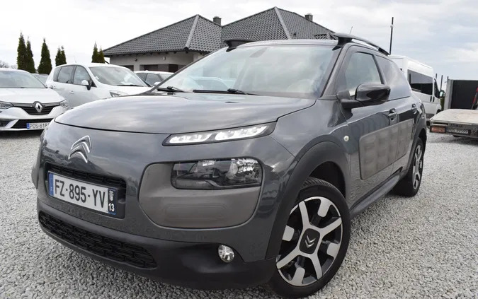 samochody osobowe Citroen C4 Cactus cena 29900 przebieg: 231004, rok produkcji 2015 z Wąchock